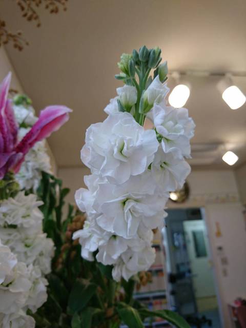 S_5602152129122.jpg