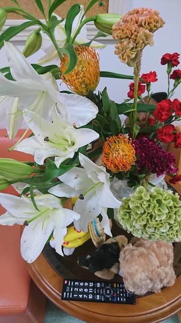 S_8522751190148.jpg