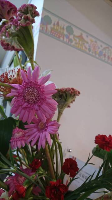 S_8522781636688.jpg