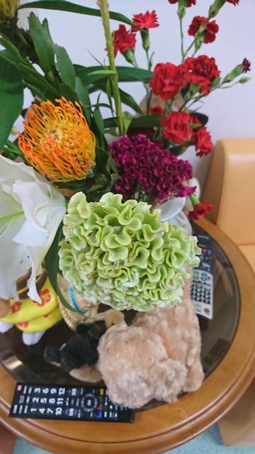 S_8522792974311.jpg