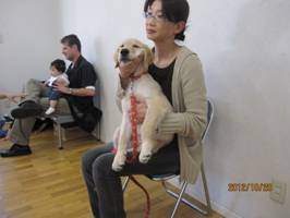 clip_image010.jpg