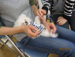 clip_image012.jpg