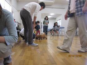 clip_image018.jpg