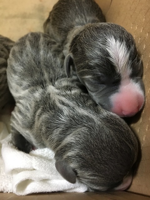 image1.jpeg