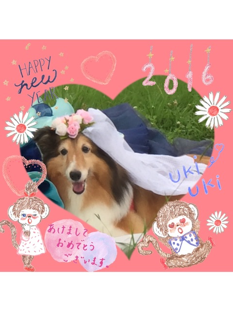 image2.jpeg